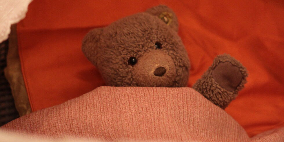 Diese Bildüberschrift wird durch das Ausfüllen des Caption Tags erreicht